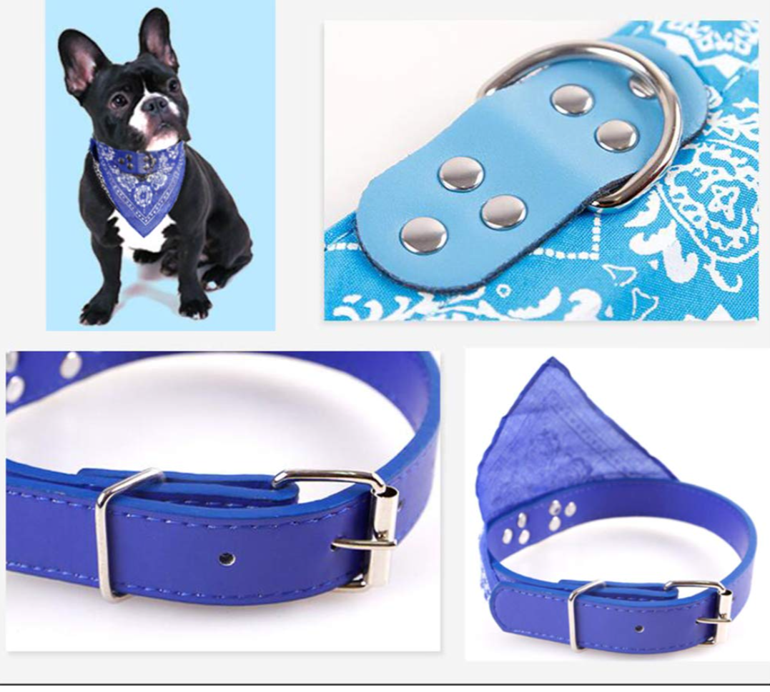 Collars,Leads & Harnesses