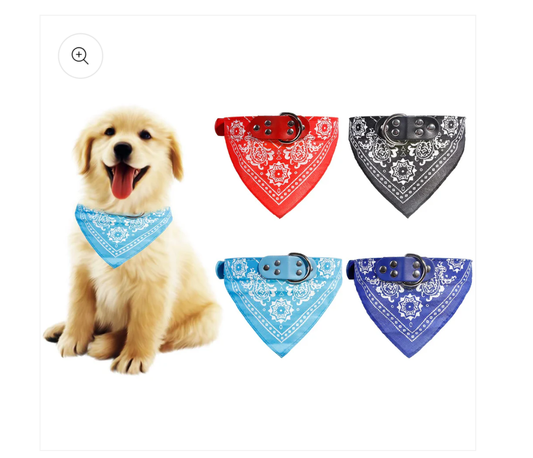 THE OUTLAW BANDANA