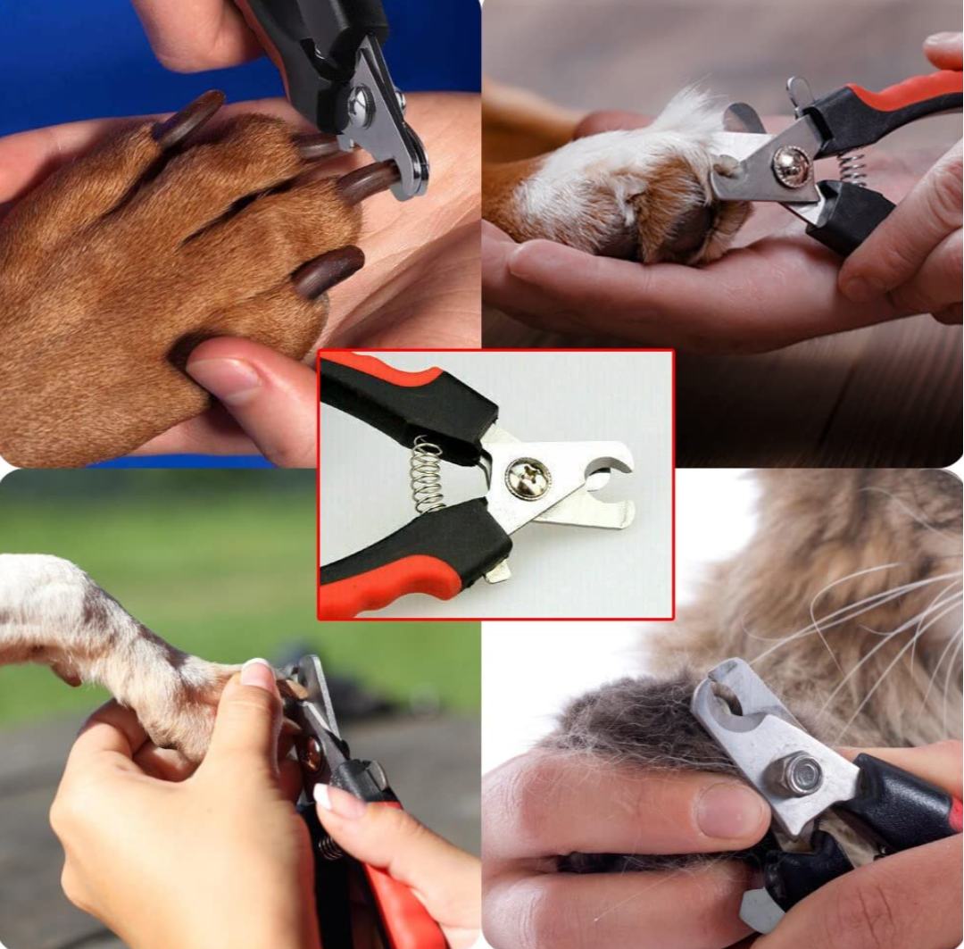 PET NAIL CLIPPER SET