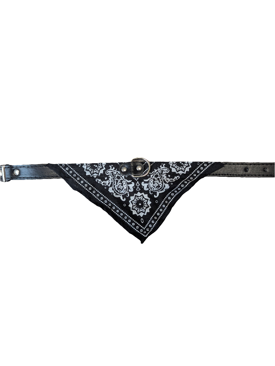 THE OUTLAW BANDANA