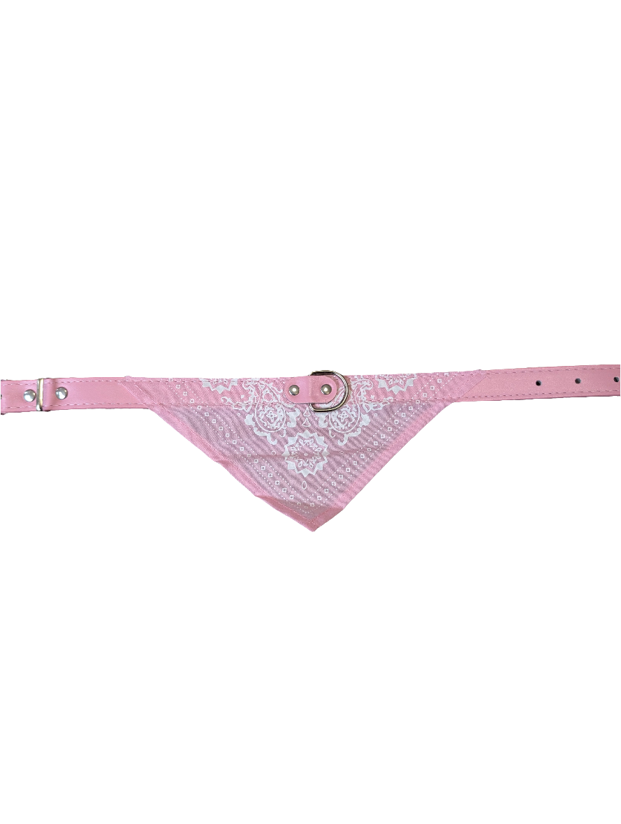 THE OUTLAW BANDANA
