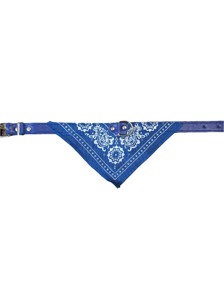 THE OUTLAW BANDANA