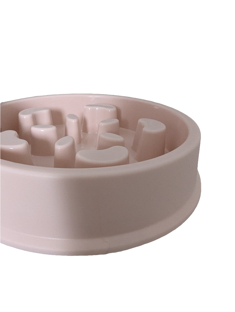 Slow Feeder Dog Bowl – Anti-Gulp Design